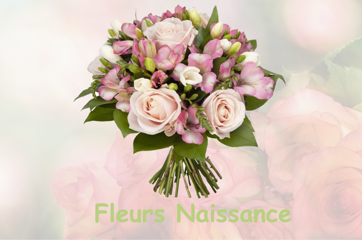 fleurs naissance NEUVY-EN-SULLIAS