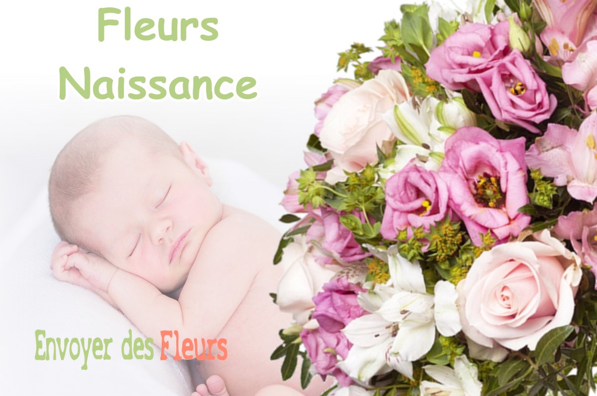 lIVRAISON FLEURS NAISSANCE à NEUVY-EN-SULLIAS